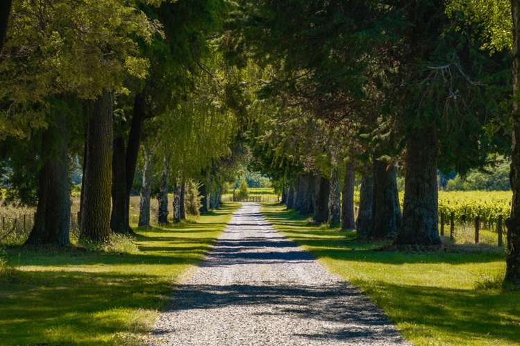 1081 State Highway 63 Renwick_31