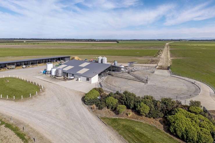 Farmers with Fonterra shares will be looking to invest their payout. Property is high on the list. Photo / Getty Images