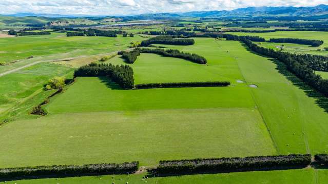 257 Lyndon Road Waiau_2