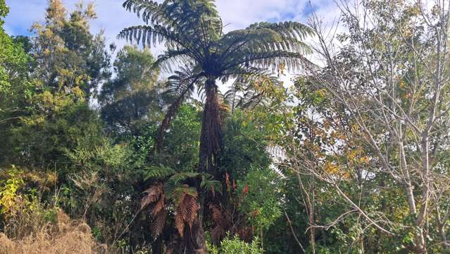 Lot 5 Wilsons Lead Road Cape Foulwind_4