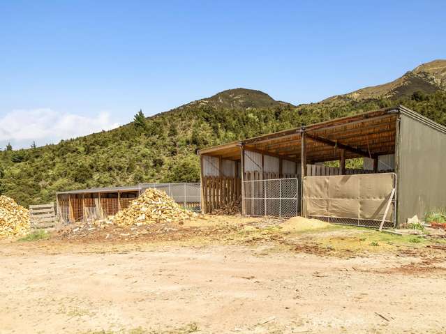 1087 Lake Hawea-Albert Town Road Lake Hawea_3