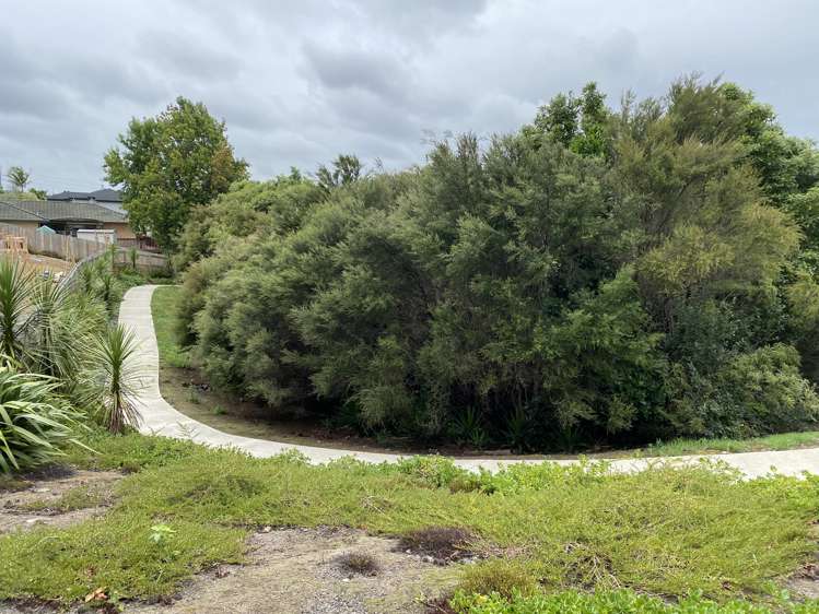 389 Rosedale Road Albany_9