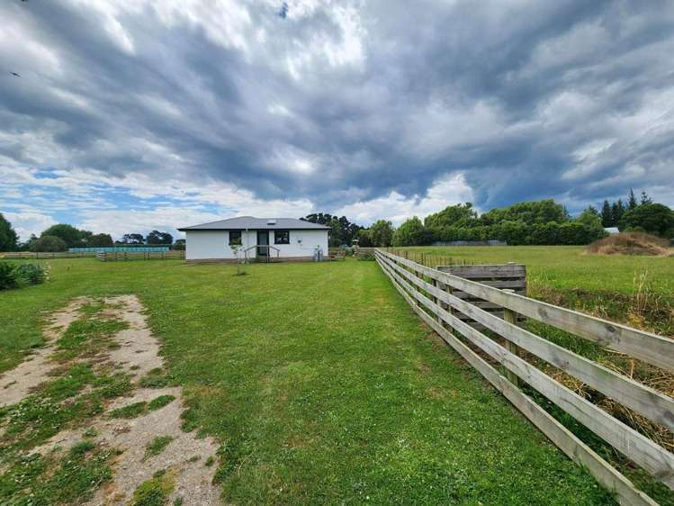  42 Watt Livingstone Road Westmere_16