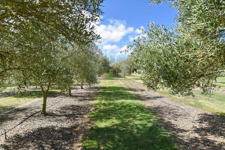 1 Sillano Place Ohoka_20