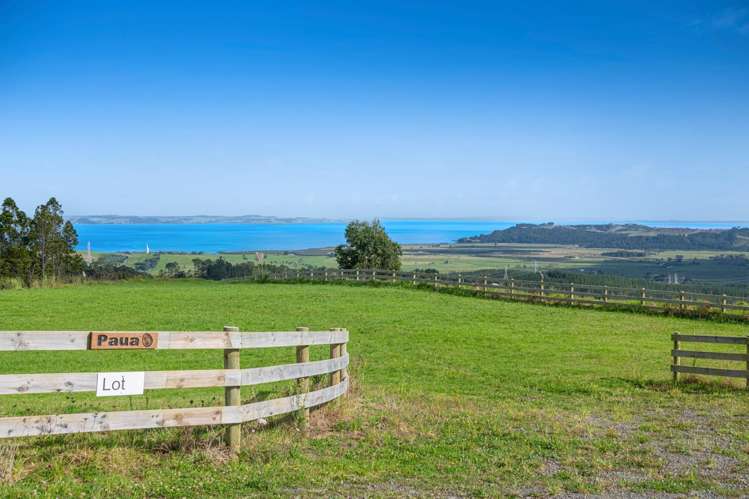 189 Tuhirangi Road Makarau_6