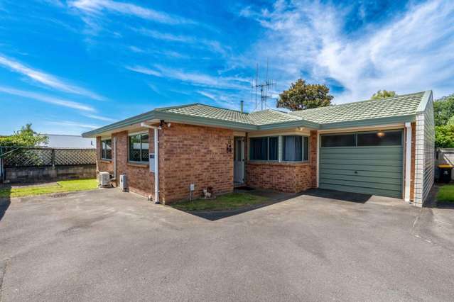 723C Cameron Road Tauranga South_3