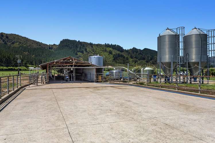 2106 Galatea Road Waiohau_11