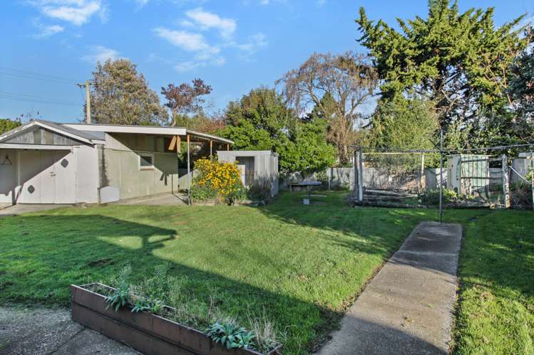 23 Gorton Street Bulls_12