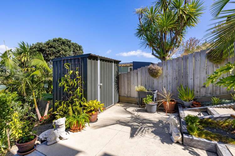 78B Greenslade Road Raglan_29