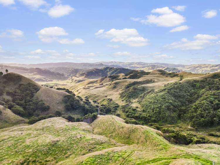 2368 Wairamarama Onewhero Road Glen Murray_23