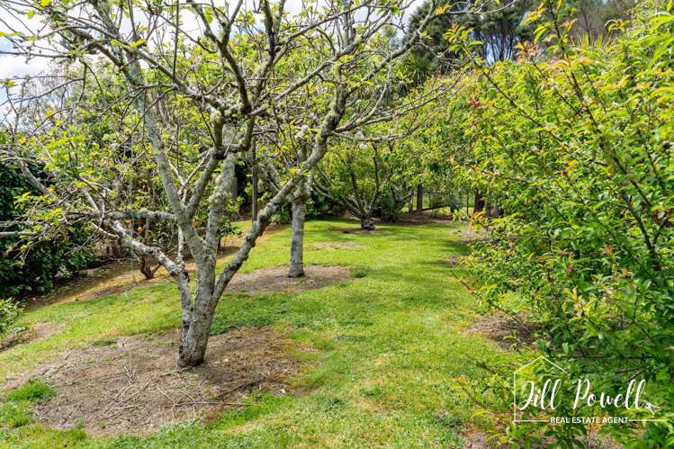 93C Jumna Road Maungaturoto_42