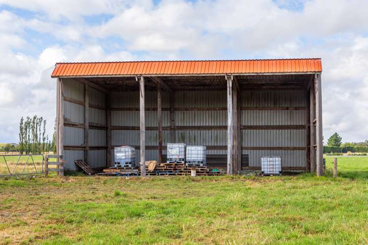 589 Coutts Island Road Coutts Island_17