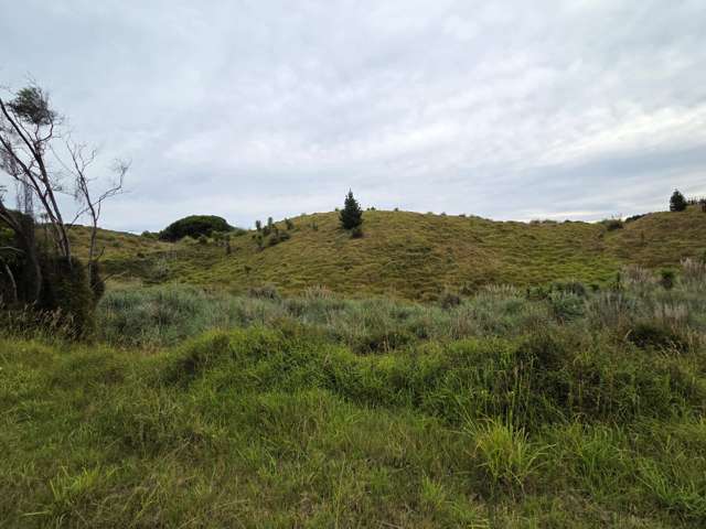 Wilson Road South Head_3