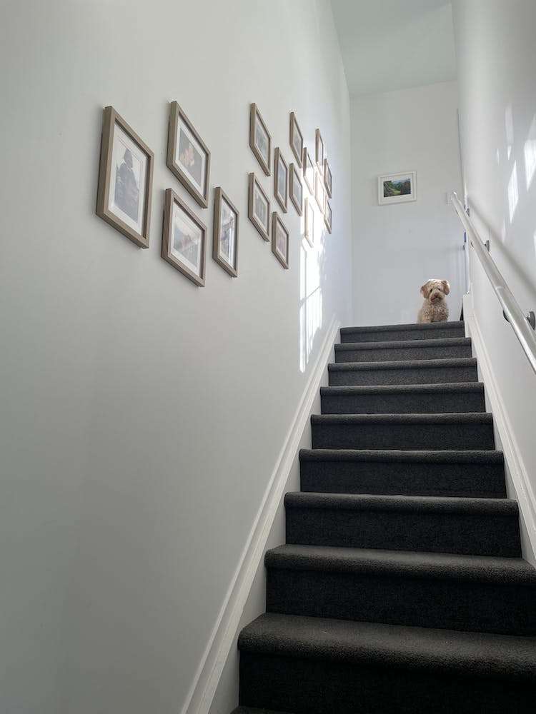 125 John Street Ponsonby_11