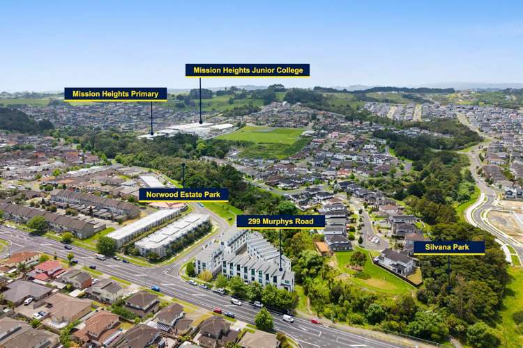 299 Murphys Road Flat Bush_20