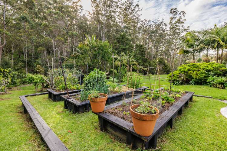 22 Oak Tree Lane Kerikeri Surrounds_34