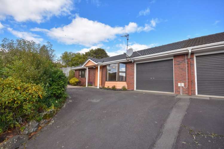 24b Shand Street Green Island_6