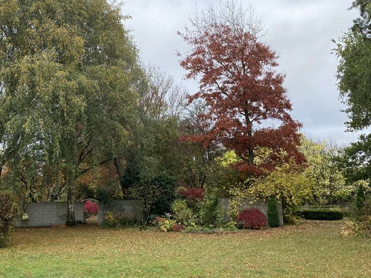 51 Ivey Road Templeton_18