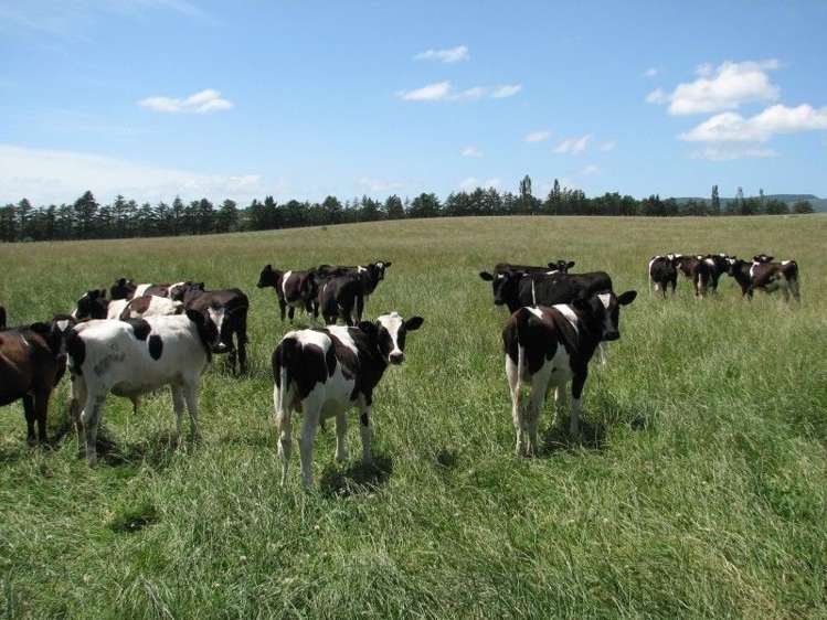 1259 Lakeside Road Milton_5