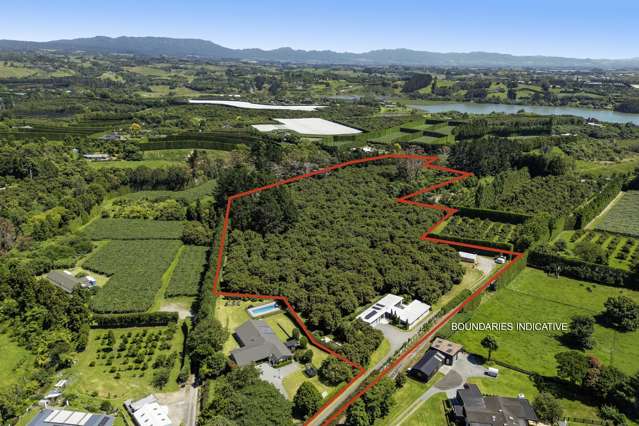 89b Snodgrass Road Te Puna_2