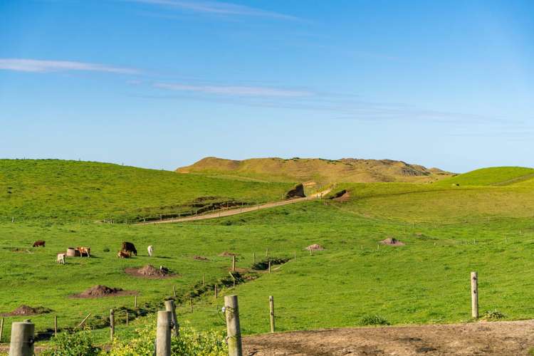 559 Mahuta Road Dargaville_16