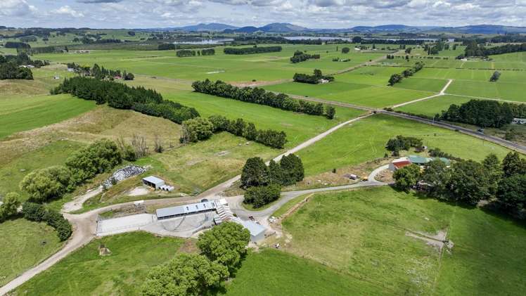 62 Ngamotu Road Rerewhakaaitu_12