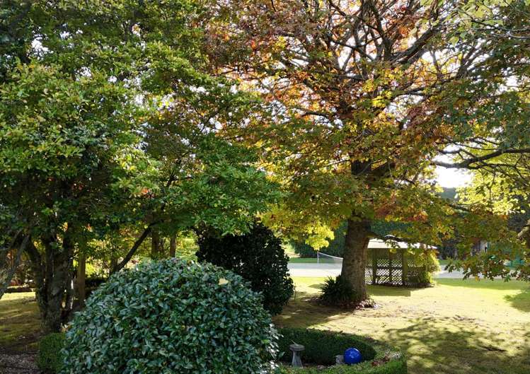 43 Penmoral Lane Lower Kaimai_19