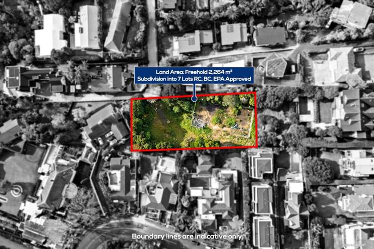 18 Grampian Road St Heliers_15