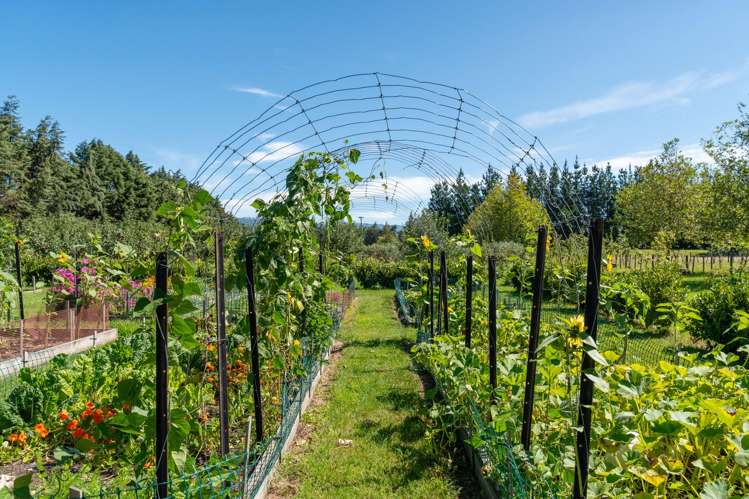 34 Bidwills Cutting Road Greytown_39