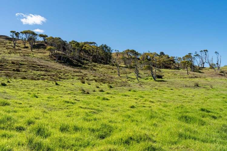 140 Beatson Road Whakapirau_56