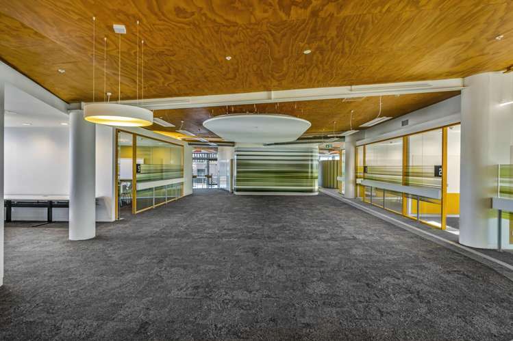 Suite 3.1/381 Great South Road Ellerslie_7