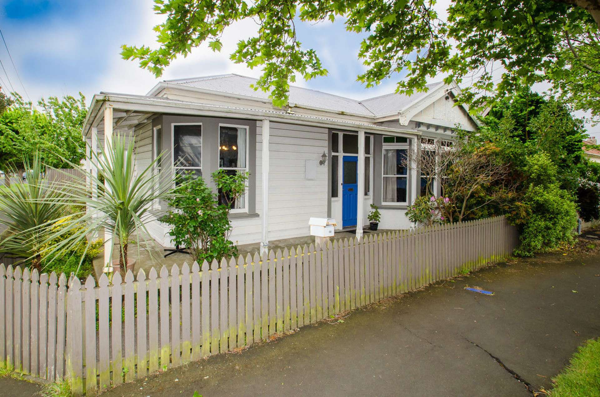 288 Oxford Street South Dunedin_0