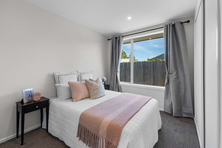 10 Princes Street Springfield_16