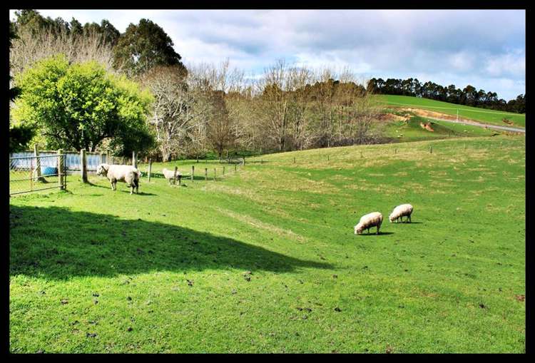 20 Old Port Road Catlins Surrounds_25