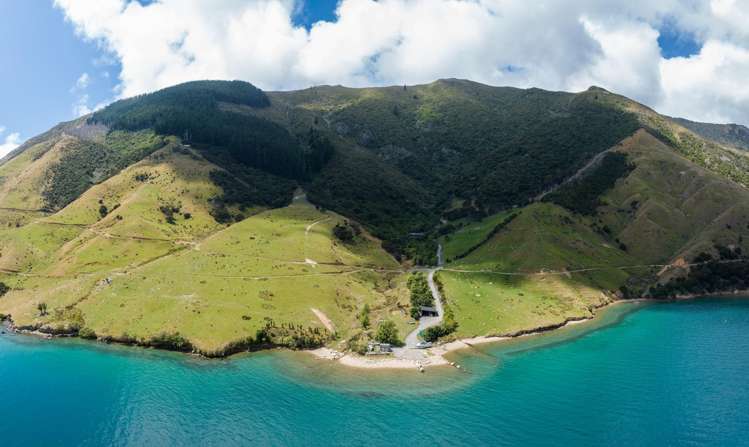 Lot 1 Anakoha Bay Marlborough Sounds_40