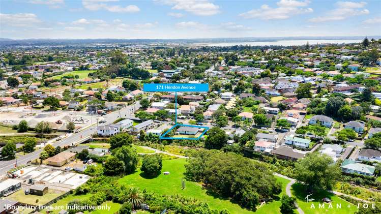 171 Hendon Avenue Mount Albert_10