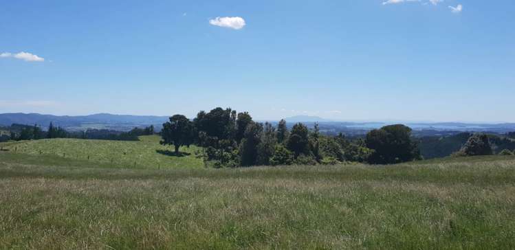 448 Moir Hill Road Warkworth_2