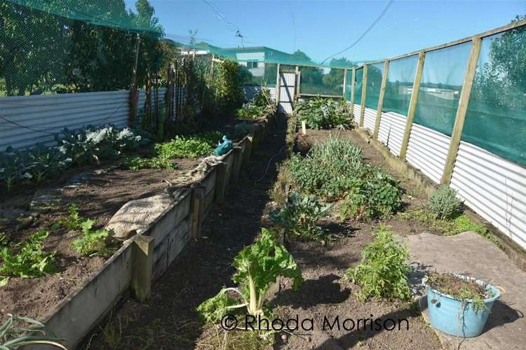 208 Heatley Road Whakapirau_26