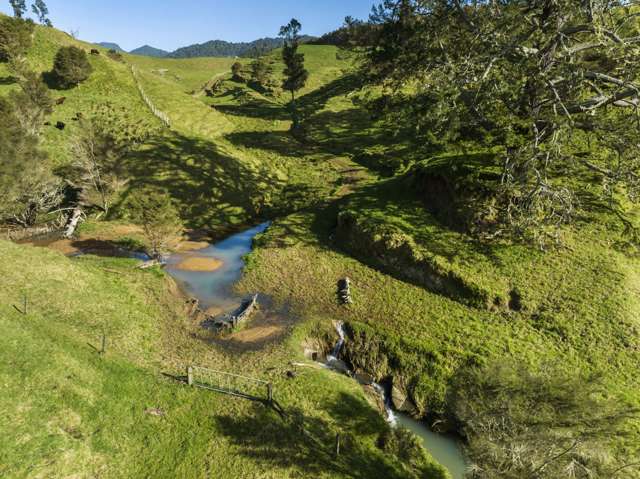 309C Wentworth Valley Road Whangamata_1