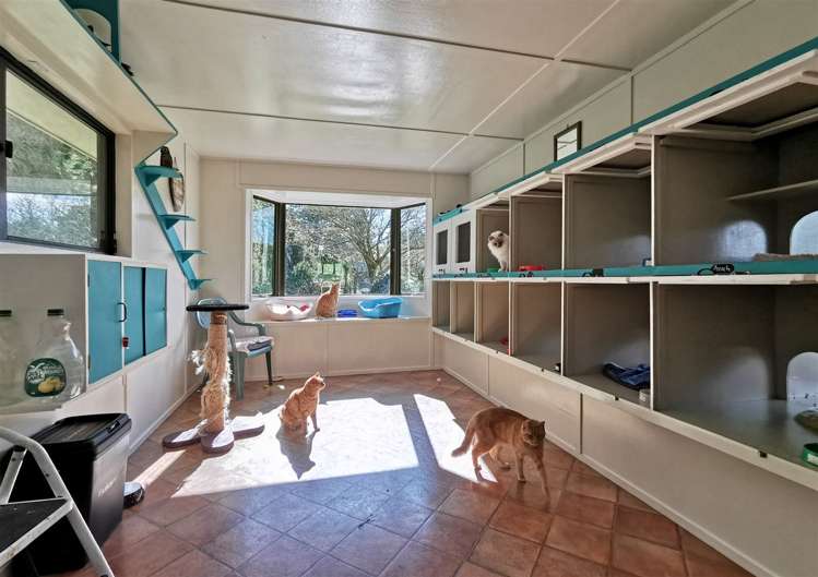 381 Waihi Beach Road Waihi_8