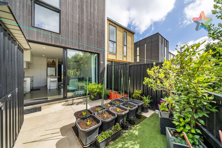 21 Te Ara O Paetutu Petone_8