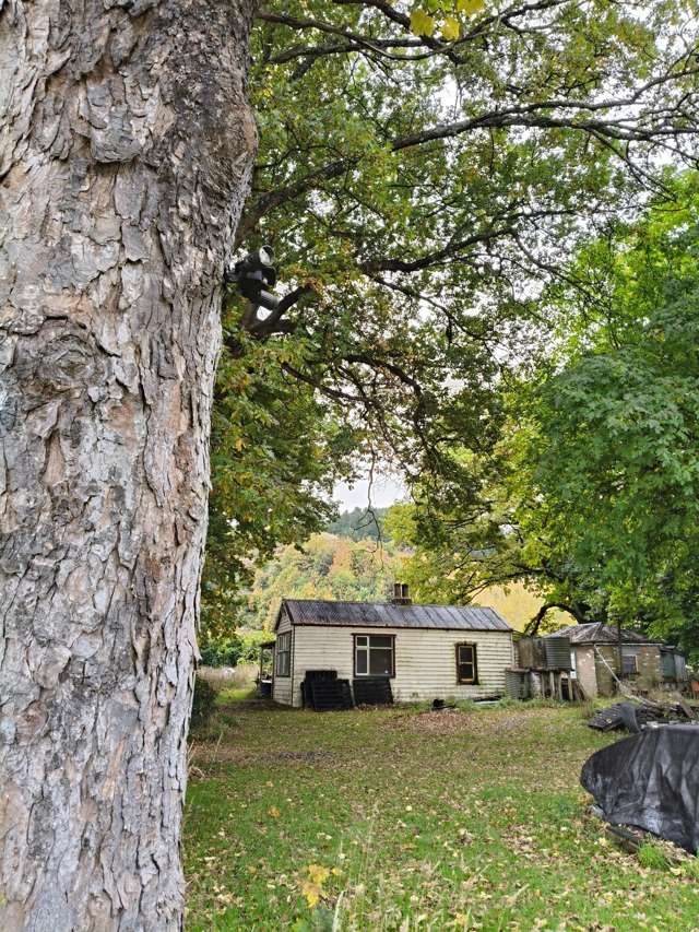 Wild and whimsical in Wetherston