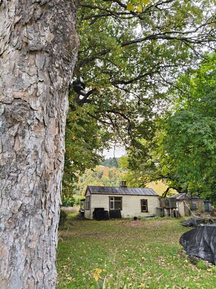 76 Wetherstons Road Lawrence_2