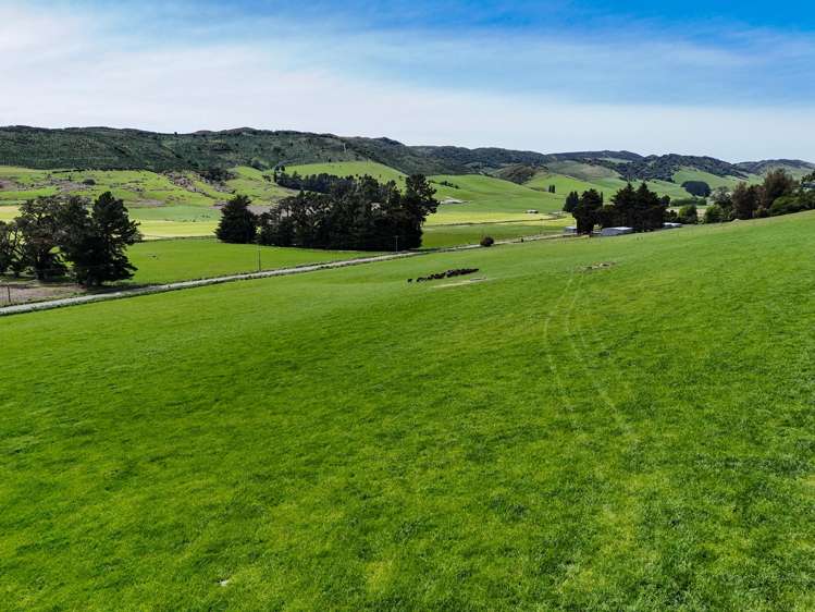 242 Caroline Valley Road Caroline_3