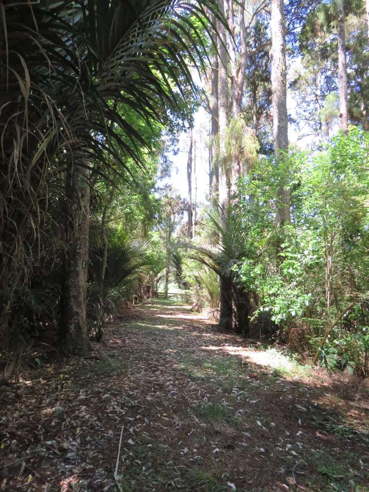 504b Wairere Road Maungaturoto_32