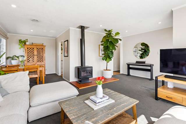13 Sunvue Road Glen Eden_4