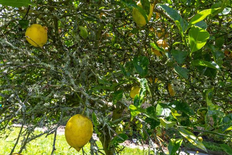 4 McVie Road Huntly_22