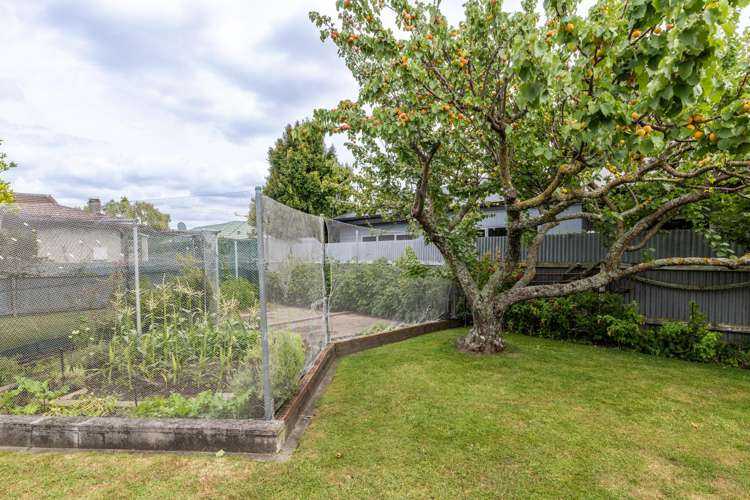 13 Trent Street Taradale_17