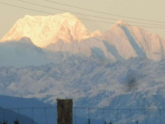 Adair Road Ruatapu_4