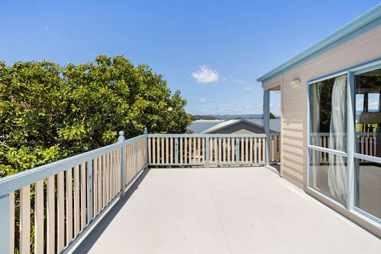 5 Pipi Dune Whitianga_6